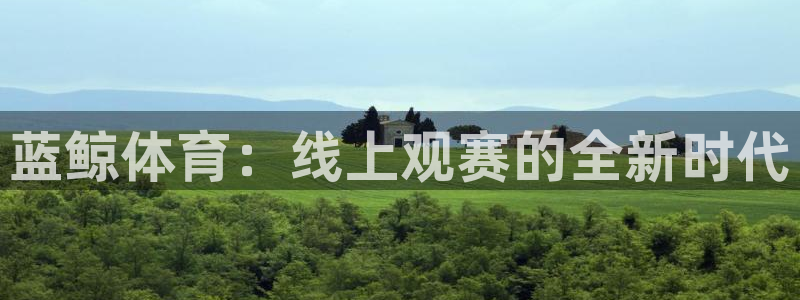 蓝鲸体育：线上观赛的全新时代