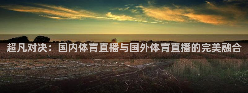 超凡对决：国内体育直播与国外体育直播的完美融合