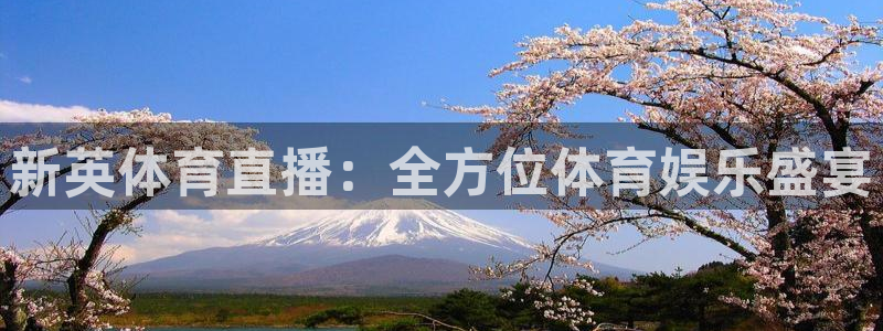 新英体育直播：全方位体育娱乐盛宴
